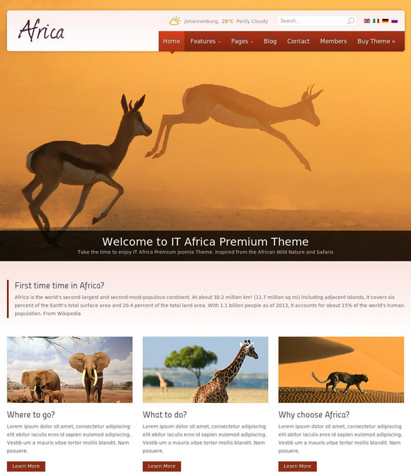 Шаблон IT Africa от IceTheme